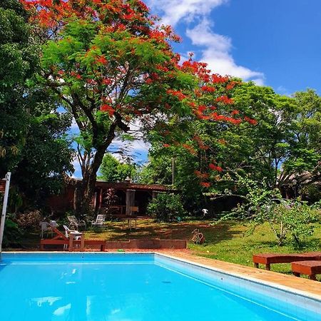 Posada Iguazu Colibri Puerto Iguazú Exterior foto